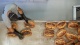 Slow Bakery